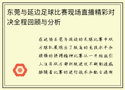 东莞与延边足球比赛现场直播精彩对决全程回顾与分析